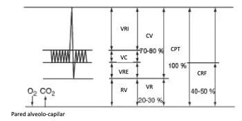 Espirometría (valores en % de CPT) - VRI = volumen de reserva inspiratorio, VC = volumen corriente, VRE = volumen de reserva espiratorio, VR = volumen residual, CV = capacidad vital, CPT = capacidad pulmonar total, CRF = capacidad residual funcional.